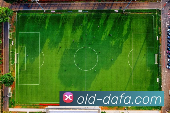 大发彩票服务体系